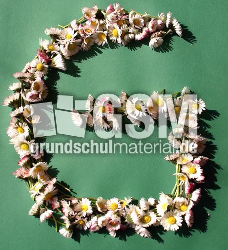 G-wie-Gänseblümchen.jpg